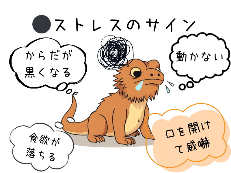 フトアゴヒゲトカゲのストレスサイン