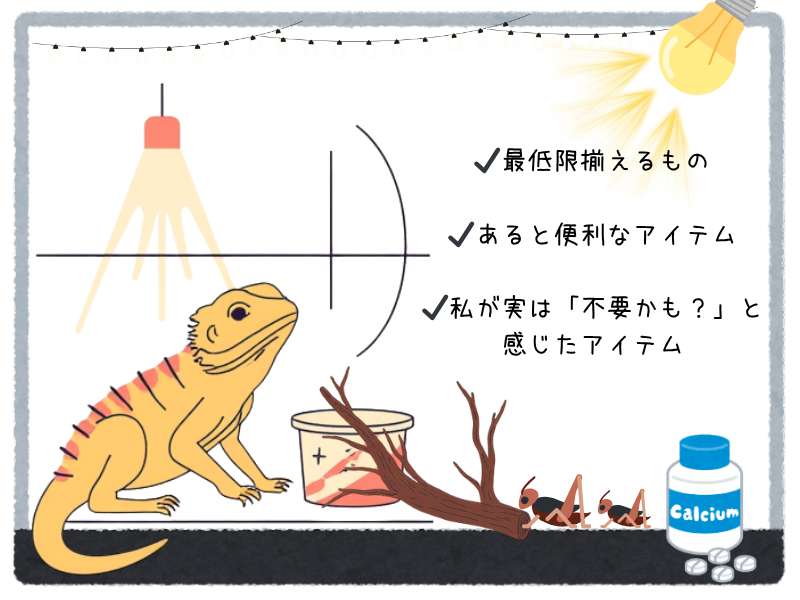 フトアゴヒゲトカゲの初期費用と必要なもの