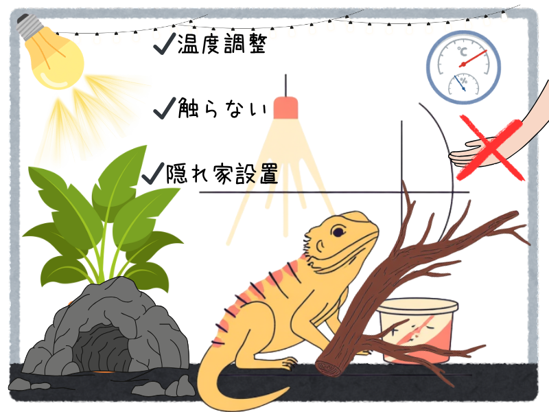 フトアゴヒゲトカゲのストレスサイン
