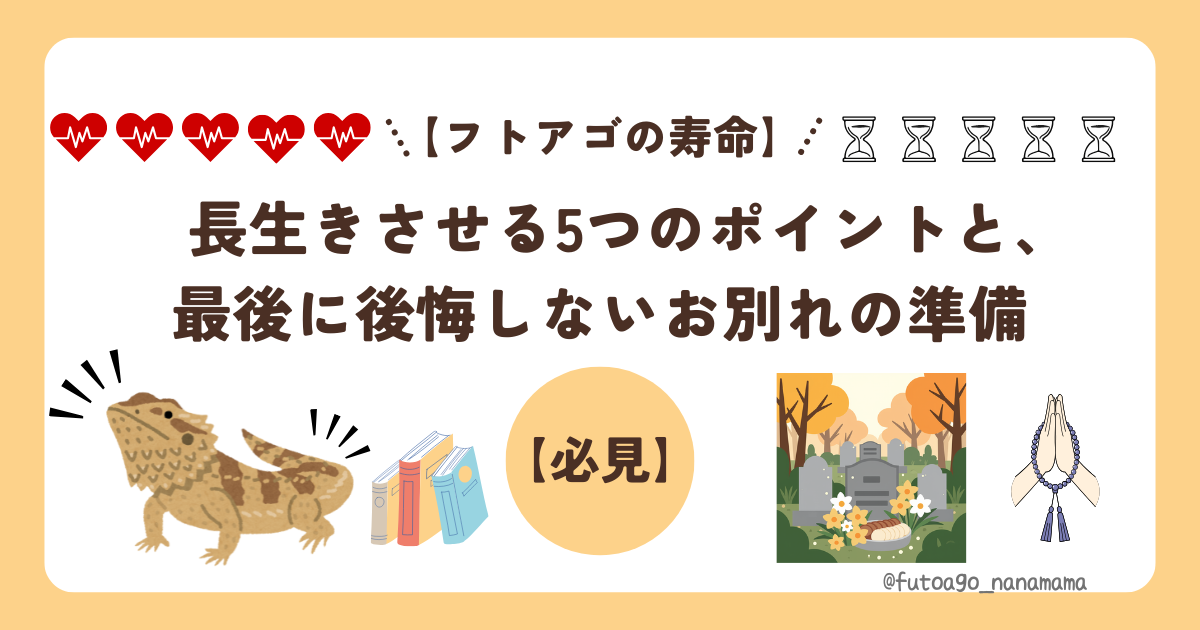 フトアゴの寿命】長生きさせる5つのポイントと、最後に後悔しないお別れの準備