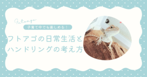 フトアゴヒゲトカゲのストレスサイン
