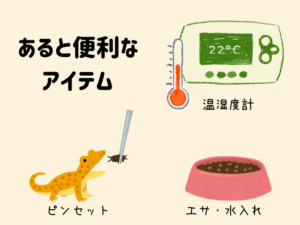 フトアゴヒゲトカゲの初期費用と必要なもの