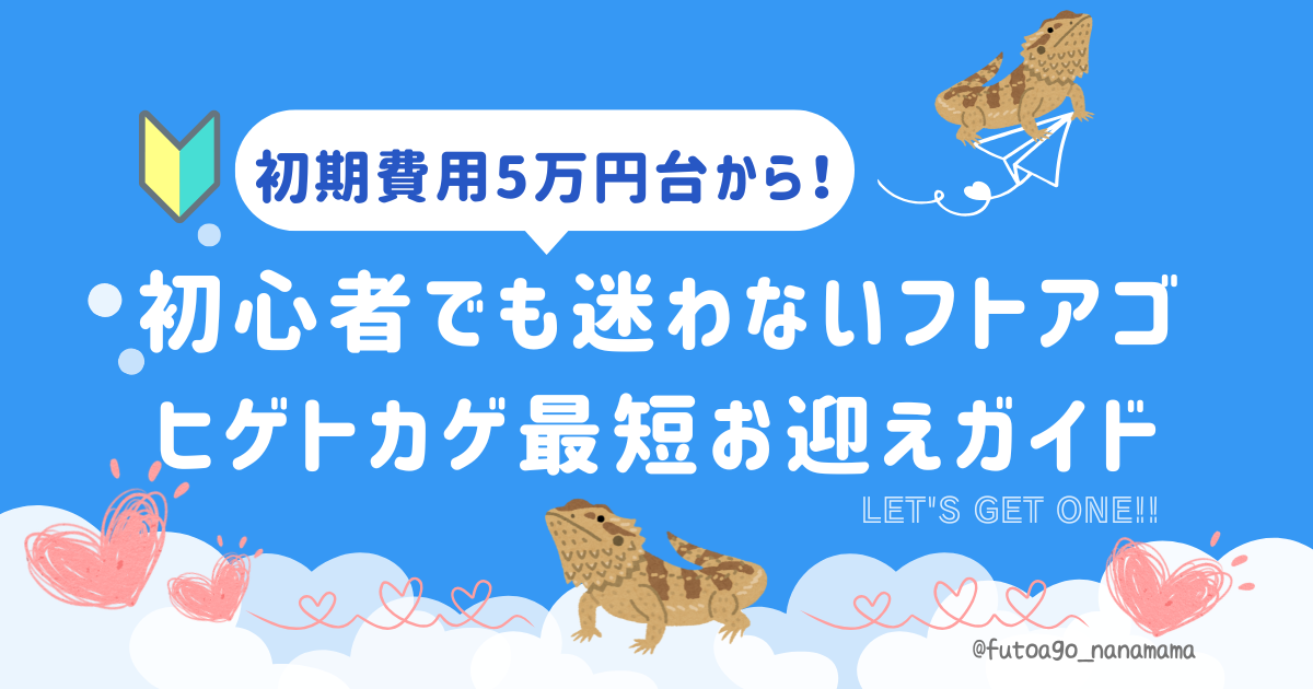 フトアゴヒゲトカゲのお迎えにかかる初期費用と必要用品を紹介するアイキャッチ画像。5万円台から始めるお迎えガイド