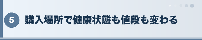 フトアゴヒゲトカゲをどこで購入する？ セクションバナー