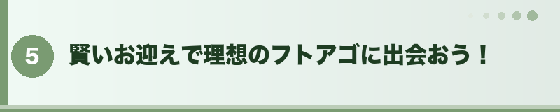 賢いお迎えで理想のフトアゴに出会おう！
