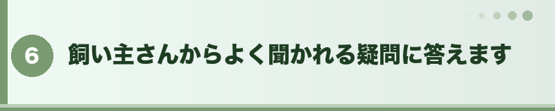 よくある質問セクションバナー