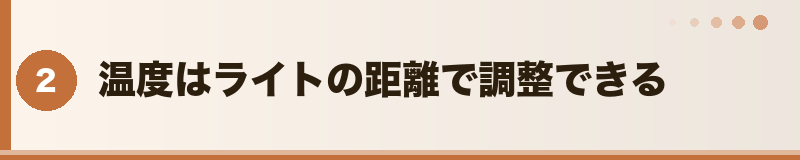 フトアゴ 温度はライトの距離で調整できる