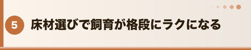 フトアゴ 床材選びで飼育が格段にラクになる