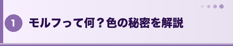 フトアゴ モルフって何？色の秘密を解説