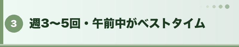 フトアゴ 週3〜5回・午前中がベストタイム