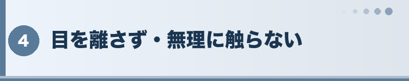 フトアゴ 目を離さず・無理に触らない
