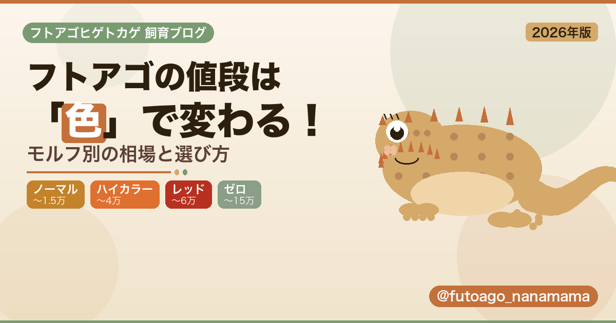 フトアゴヒゲトカゲの値段はモルフ（色）で変わる。ノーマル・ハイカラー・レッド・ゼロなどモルフ別の価格相場を示すアイキャッチ画像