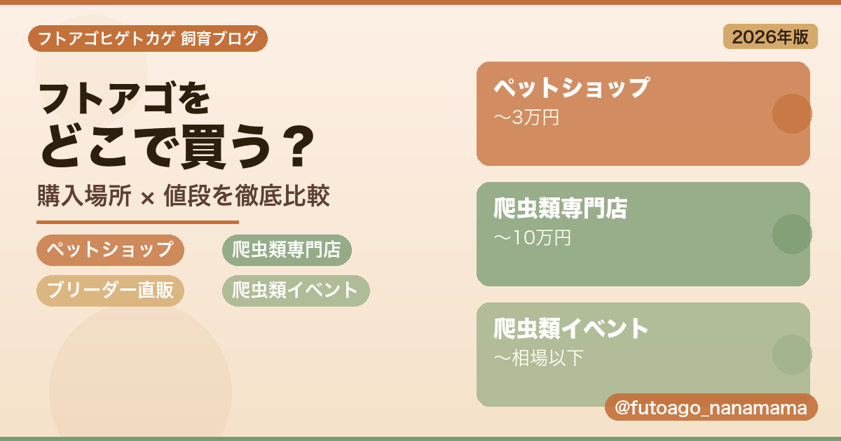 フトアゴヒゲトカゲの購入場所別の値段比較｜ペットショップ・専門店・イベント