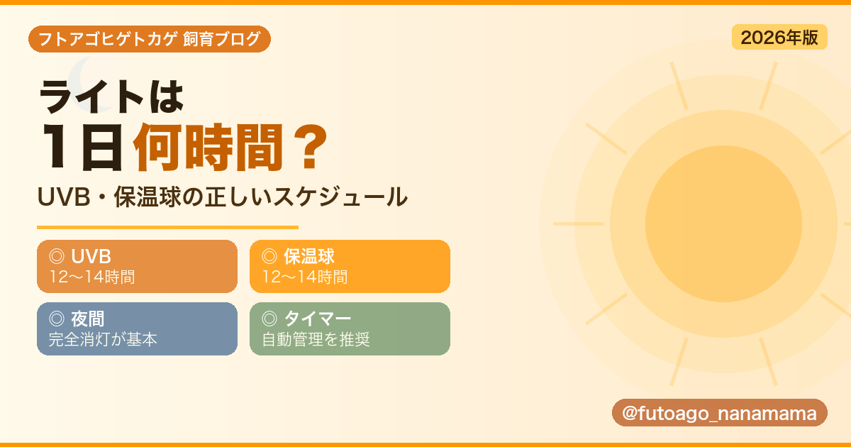 フトアゴヒゲトカゲのライト点灯時間とタイマー設定｜UVBと保温球の管理