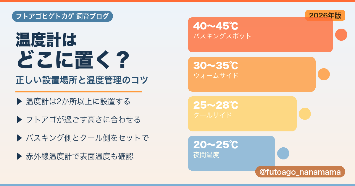 フトアゴヒゲトカゲの温度計の置き場所と温度管理のコツ