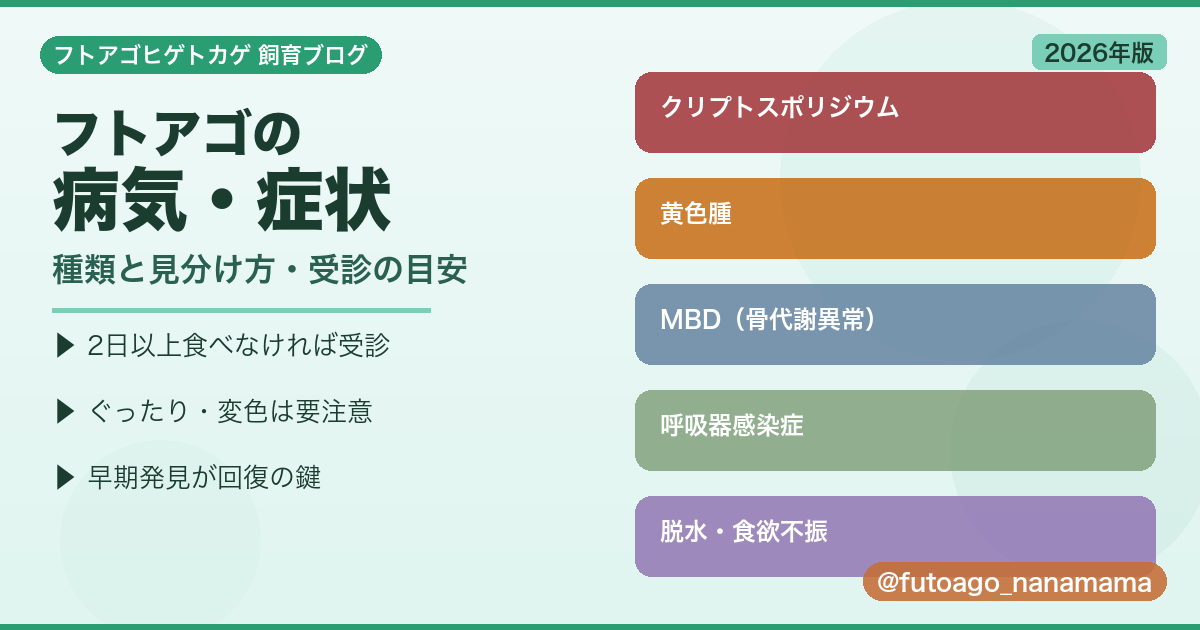 フトアゴヒゲトカゲの病気・症状の種類と見分け方を解説するアイキャッチ画像