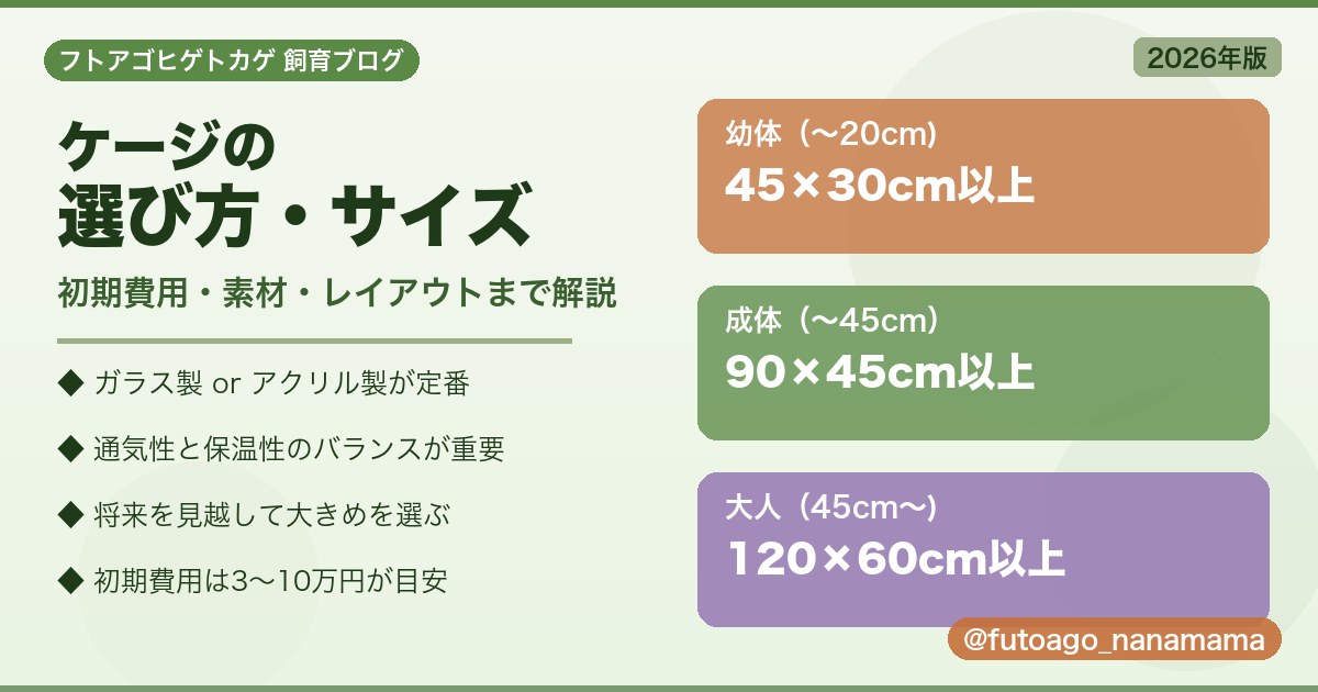 フトアゴヒゲトカゲのケージ選び方とサイズ・費用を比較したアイキャッチ画像
