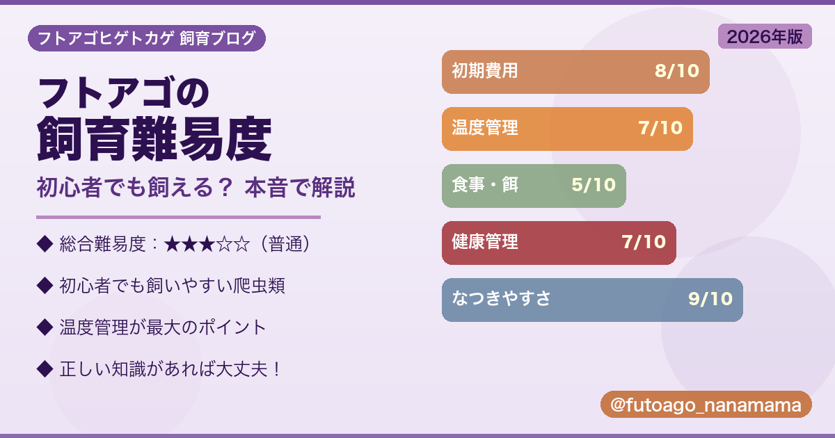 フトアゴヒゲトカゲの飼育難易度を解説するアイキャッチ画像 初心者向け