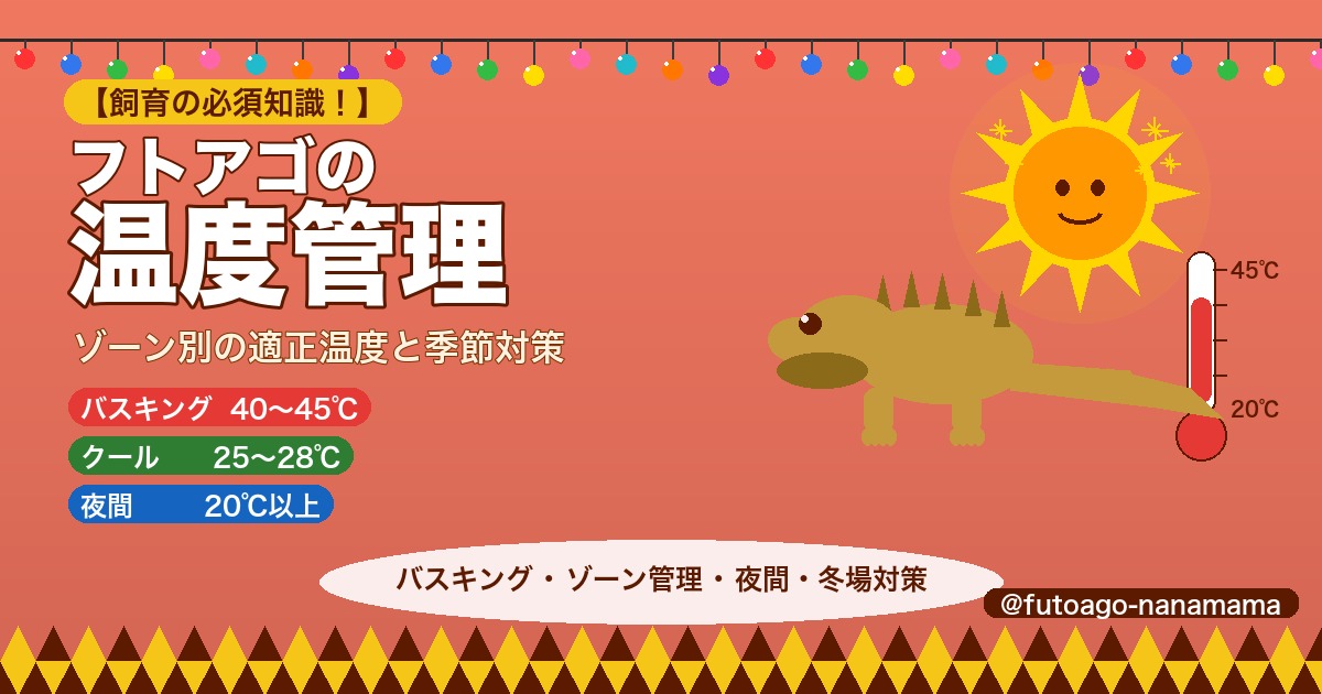 フトアゴヒゲトカゲの温度管理ガイド｜3ゾーン管理と季節対策