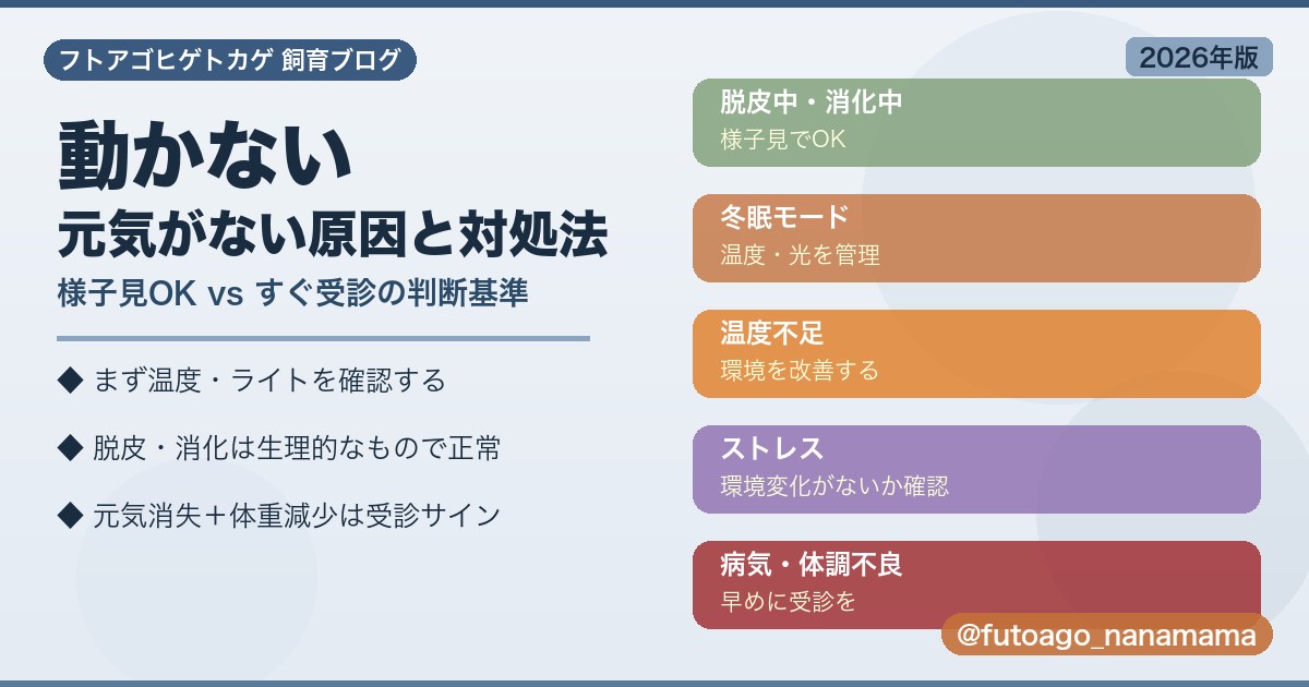 フトアゴヒゲトカゲ 831 notmoving