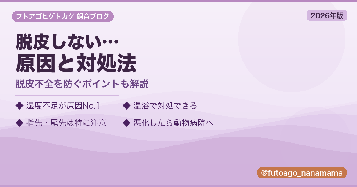 フトアゴヒゲトカゲが脱皮しない原因と対処法｜脱皮不全の対策