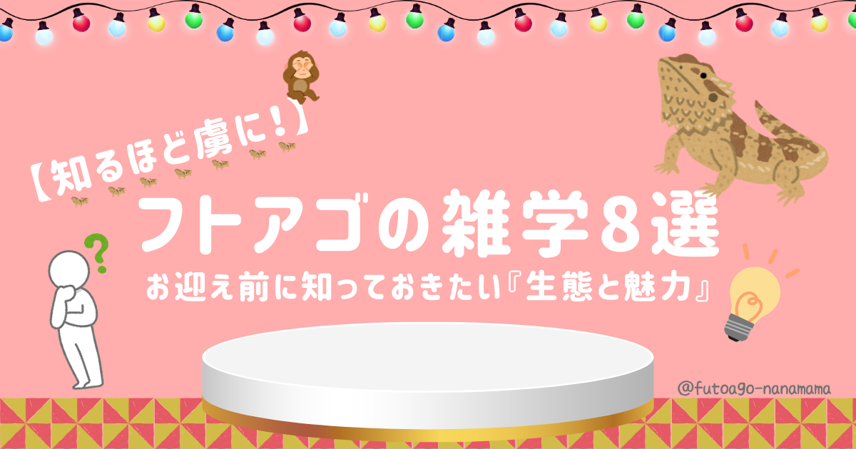 フトアゴヒゲトカゲの面白い雑学と生態を紹介するアイキャッチ画像。お迎え前に知っておきたい8つのトリビア
