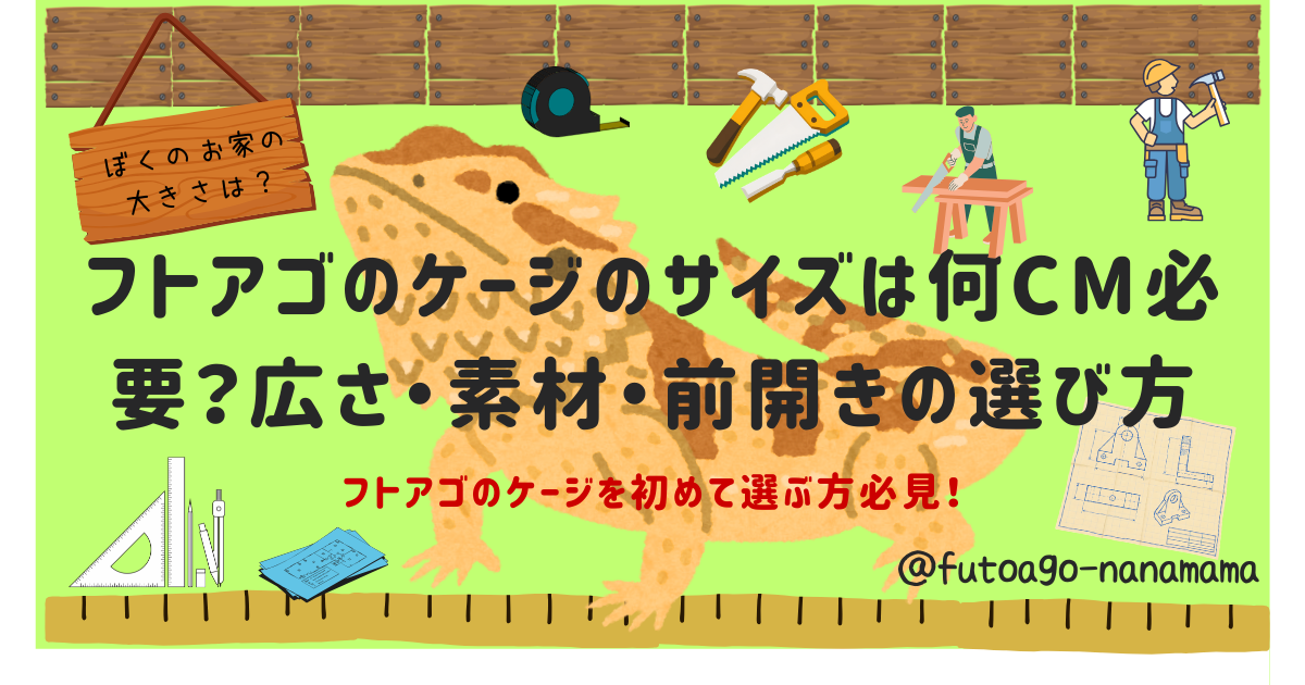 フトアゴのケージのサイズは何cm必要？広さ・素材・前開きの選び方