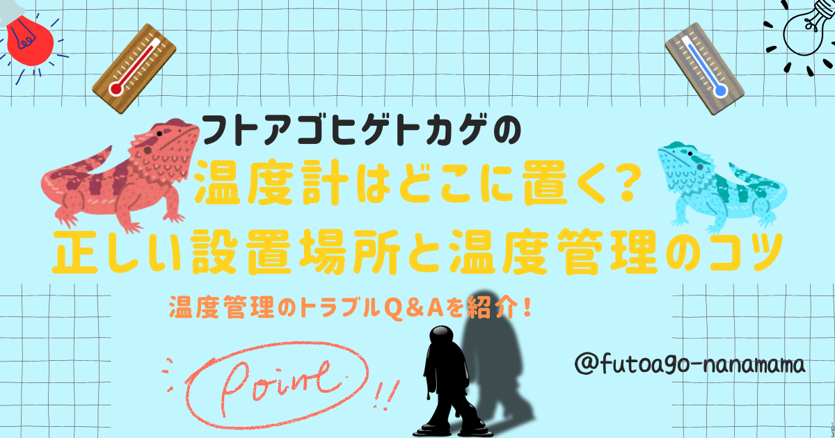 フトアゴヒゲトカゲの温度計はどこに置く？正しい設置場所と温度管理のコツ