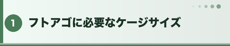 フトアゴ 必要なケージサイズ