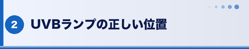 フトアゴ UVBランプの正しい位置