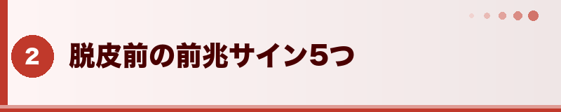 フトアゴ 脱皮前の前兆サイン