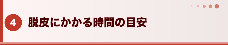 フトアゴ 脱皮にかかる時間