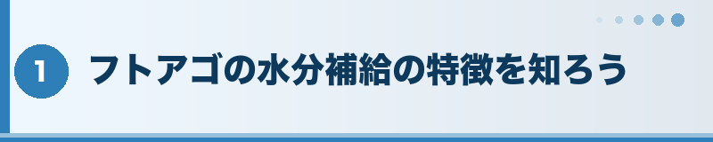 フトアゴ 水分補給の特徴