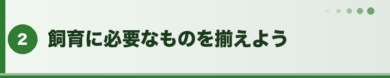 フトアゴ 飼育に必要なもの