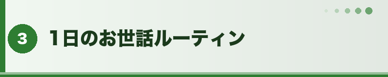フトアゴ 1日のお世話ルーティン