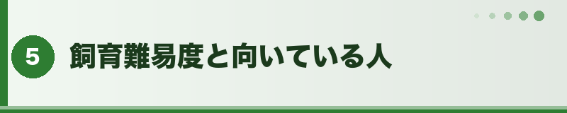 フトアゴ 飼育難易度と向いている人