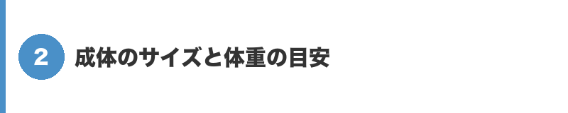 見出しバナー2:成体のサイズと体重の目安