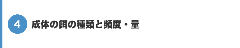 見出しバナー4:成体の餌の種類と頻度・量