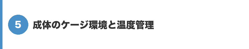 見出しバナー5:成体のケージ環境と温度管理