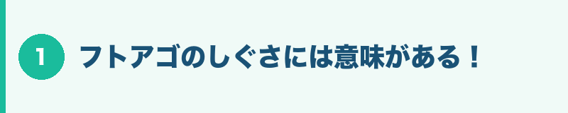 フトアゴのしぐさには意味がある!