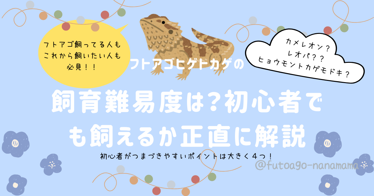 フトアゴヒゲトカゲの飼育難易度を解説するアイキャッチ画像