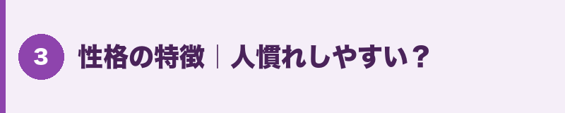 性格の特徴|人慣れしやすい?