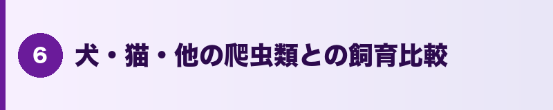 見出しバナー：犬・猫・他の爬虫類との飼育比較