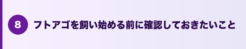 見出しバナー：フトアゴを飼い始める前に確認しておきたいこと