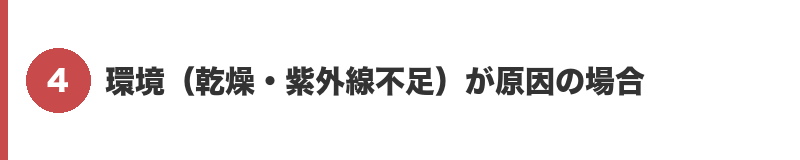 見出しバナー4：環境（乾燥・紫外線不足）が原因の場合
