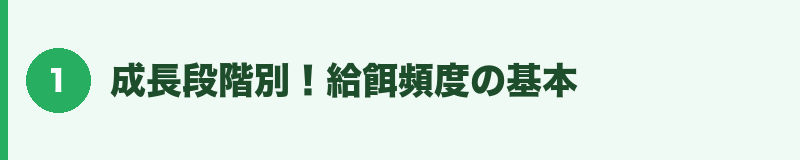 成長段階別!給餌頻度の基本