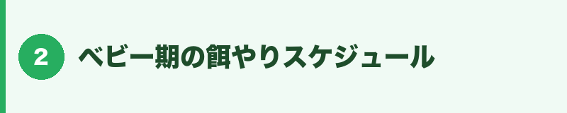 ベビー期の餌やりスケジュール