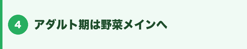 アダルト期は野菜メインへ