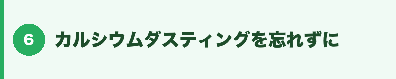 カルシウムダスティングを忘れずに