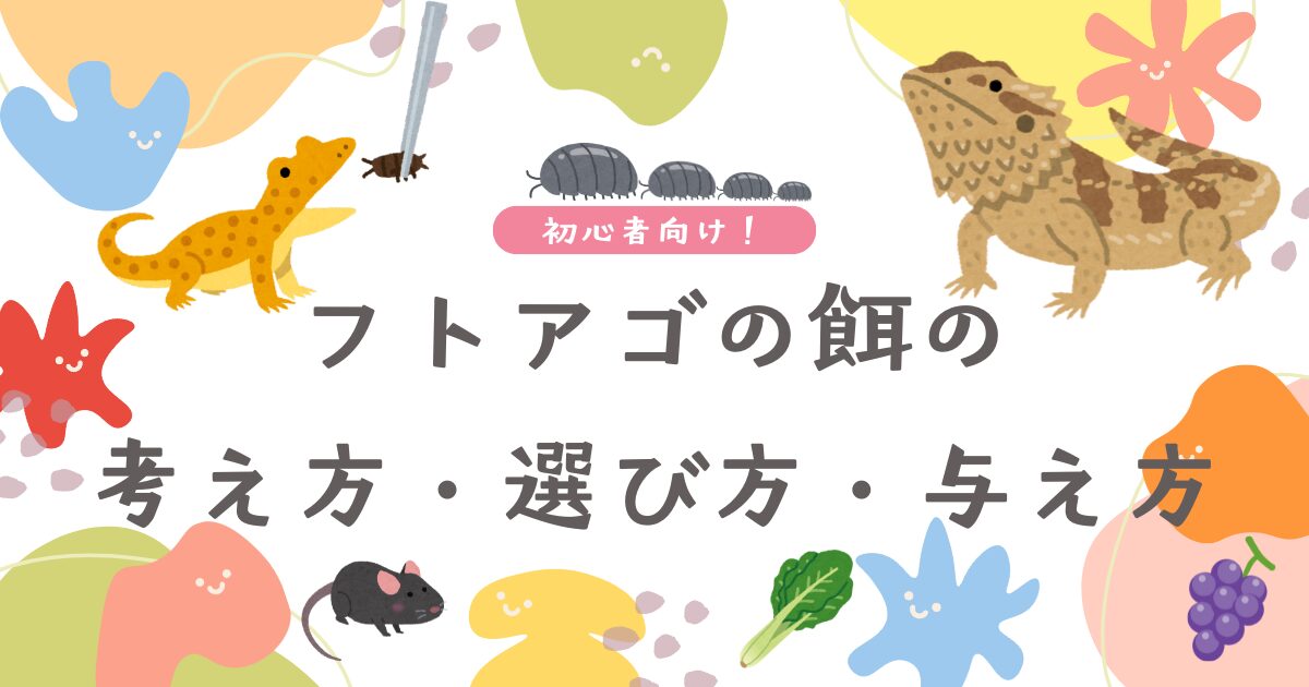 フトアゴヒゲトカゲの餌の考え方・選び方・与え方